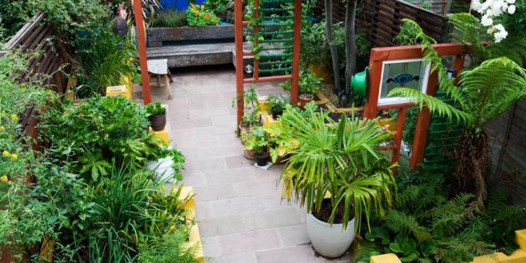 Frida Kahlo garden