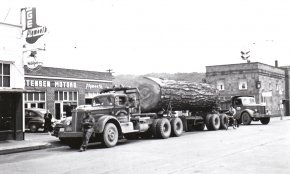 Old-Logging-Photo-sons-of-sawdust